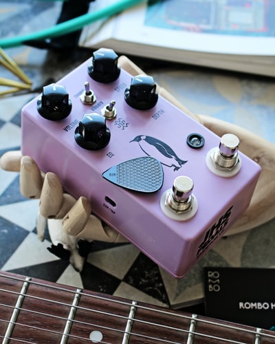紫色和白色的电吉他
